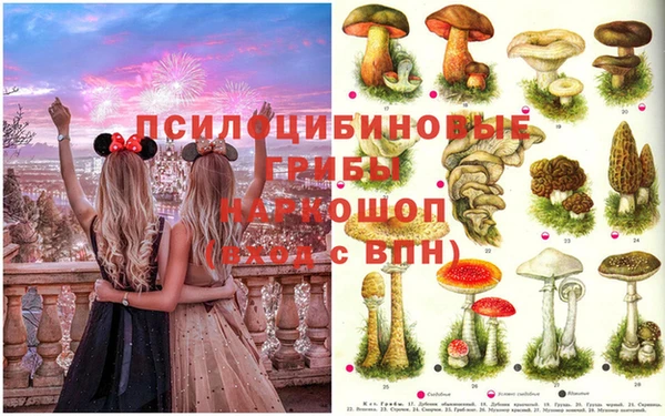 шишки Алзамай