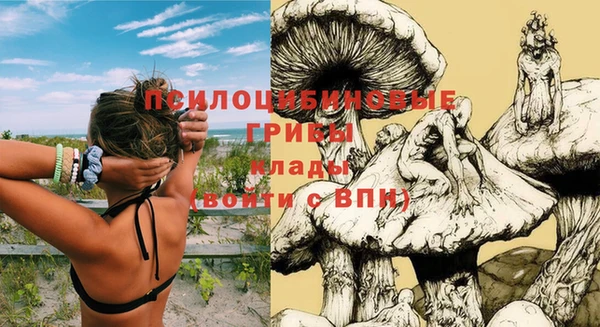 сатива Алексеевка