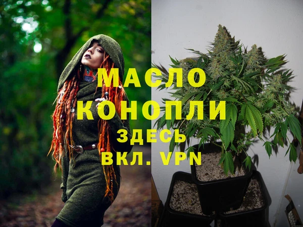 сатива Алексеевка