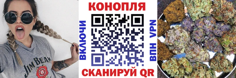 Бошки Шишки гибрид  Орлов 
